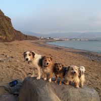 Stephen Healy's Photo