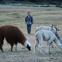 Antoine Palenstijn的照片