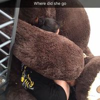 Tammi Collier's Photo