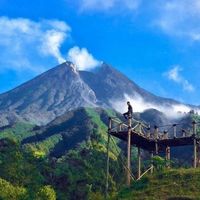 Fotos von Teddy Teddy