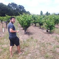 Samuel Anderson's Photo