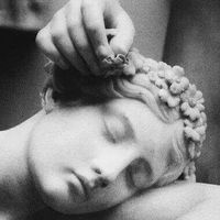 Petrushka Pleure Pas's Photo