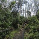 Photo de l'événement Caminata Quebrada La Vieja