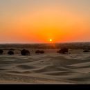 New year celebration 's picture