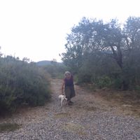 Ruth Fernandes's Photo