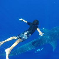 Fabián Díaz Salas的照片