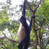 Sabrina Pereira's Photo