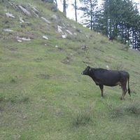 Jesse Weber的照片