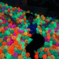 Paulina Lipińska的照片