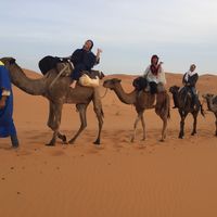 Le foto di face Tour