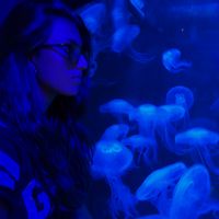 Viviana Bolletta的照片