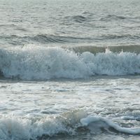 Rebecca Skeldon's Photo