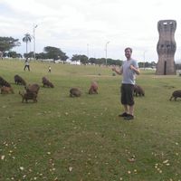 Steve Wheeler's Photo