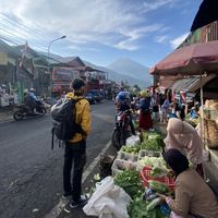 Andre Flamboyan的照片