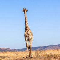 Photos de Michael Eder