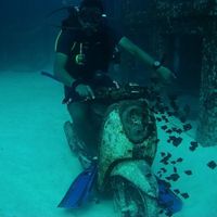 Фотографии пользователя Shinto K Anto