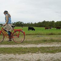 Elsa Jagniecki's Photo