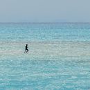 Sat in Pudong- Language Exchange的照片