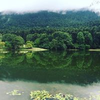 FAHD ALTRABY的照片