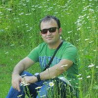 Navid Alizadehvahid's Photo