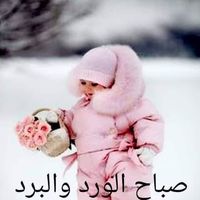 Soluman Hawari's Photo