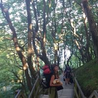 Paulina Rohmer's Photo