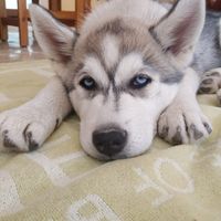 Maria pubill's Photo