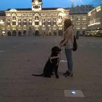 Sara Mariani's Photo