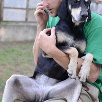 András Almási的照片