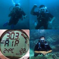 Fotos von Saleh Alghailani