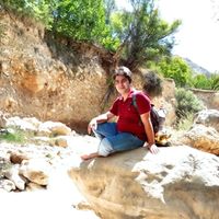 Fotos de Meisam Khadem