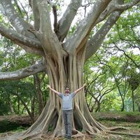 mehdi  gholamipour's Photo