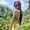 Karina Kunert's Photo
