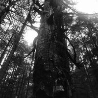 Shaked Hazut's Photo