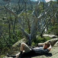 Tony Dutcher's Photo