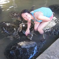 Veronica Nguyen的照片