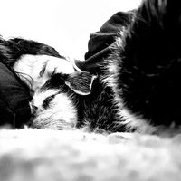 Fotos de Christopher Hoarau