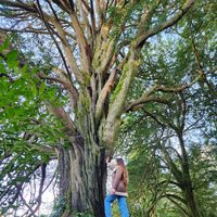 Thiara Gonzalez的照片