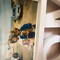 Karen Fenwick's Photo