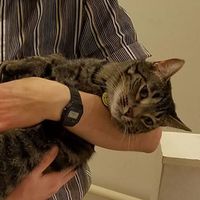 Hannah Swoboda's Photo