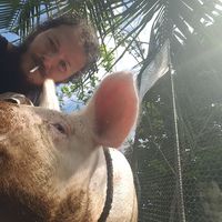 Фотографии пользователя Brayan Murillo