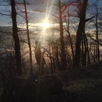 Fotos von Farshad Koochani