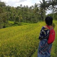 Meike Nugraha的照片