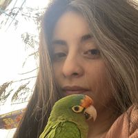 Janeth Fernandez的照片