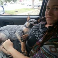 Photos de Alysse Julian