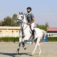 Morad Kayed的照片