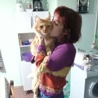 Beluu Vidal的照片