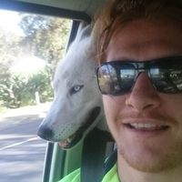 David Armstrong的照片