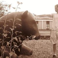 Stephen Holsenbeck's Photo