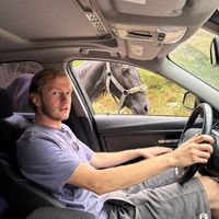 ioane gvasalia's Photo